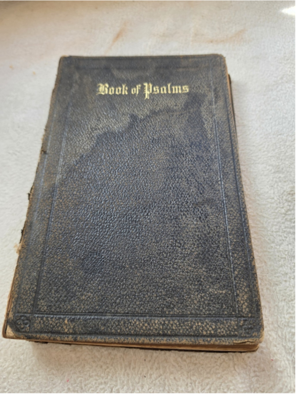 Antique 1880 Book of Psalms Leather American Bible Society Great Primer Octavo